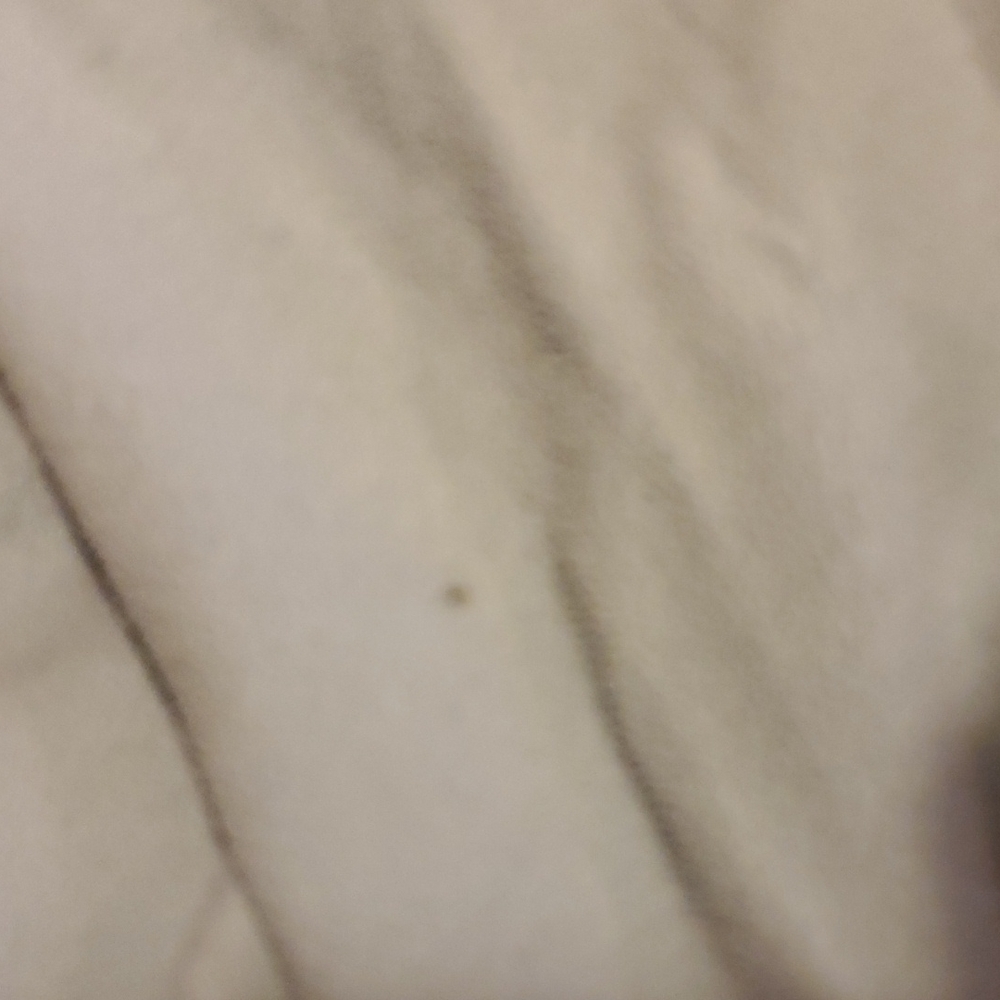North face jacket - Picture 8 of 10